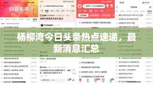杨柳湾今日头条热点速递，最新消息汇总
