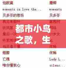 都市小鸟之歌，生活的启示与百度下的智慧记录