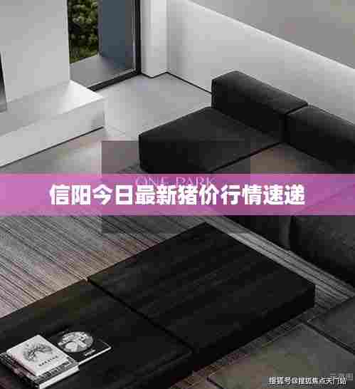 信阳今日最新猪价行情速递