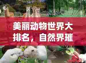 美丽动物世界大排名，自然界璀璨明珠惊艳亮相！