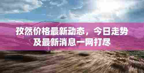 孜然价格最新动态，今日走势及最新消息一网打尽