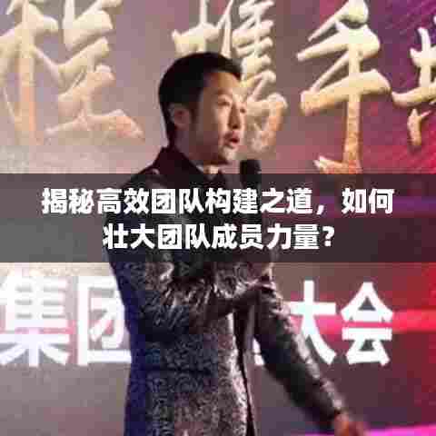 揭秘高效团队构建之道，如何壮大团队成员力量？