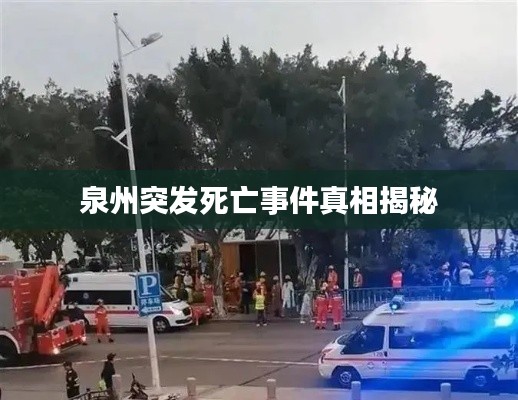 泉州突发死亡事件真相揭秘