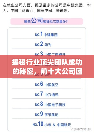 揭秘行业顶尖团队成功的秘密,前十大公司团队排名解析