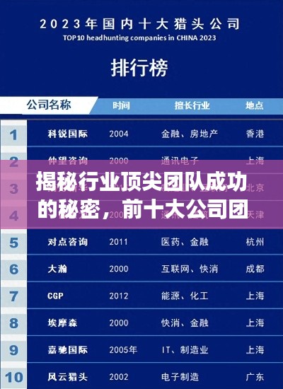 揭秘行业顶尖团队成功的秘密,前十大公司团队排名解析