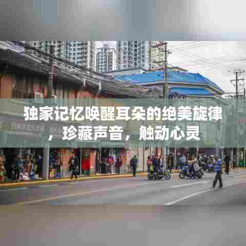 行疾如飞 第7页