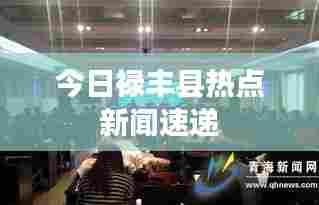 今日禄丰县热点新闻速递