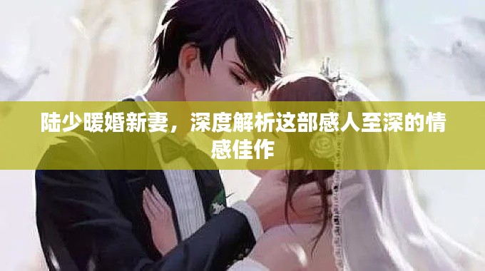 陆少暖婚新妻，深度解析这部感人至深的情感佳作