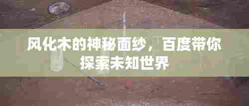 风化木的神秘面纱,百度带你探索未知世界