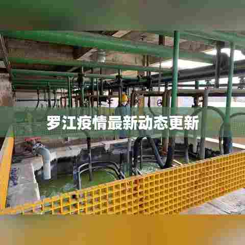 罗江疫情最新动态更新