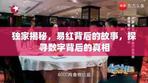 独家揭秘，易红背后的故事，探寻数字背后的真相