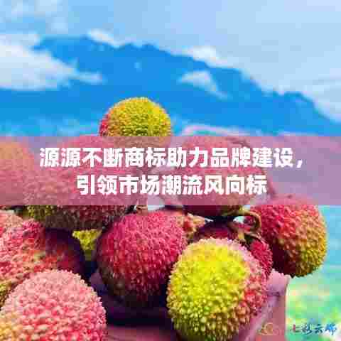 源源不断商标助力品牌建设,引领市场潮流风向标