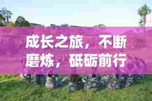 成长之旅，不断磨炼，砥砺前行