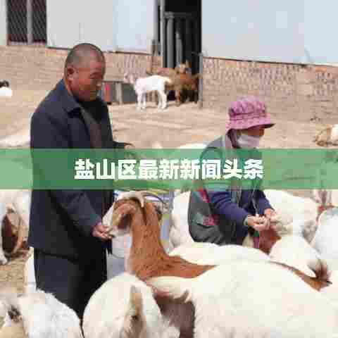 盐山区最新新闻头条