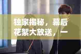 独家揭秘，幕后花絮大放送，一探神秘面纱下的秘密世界