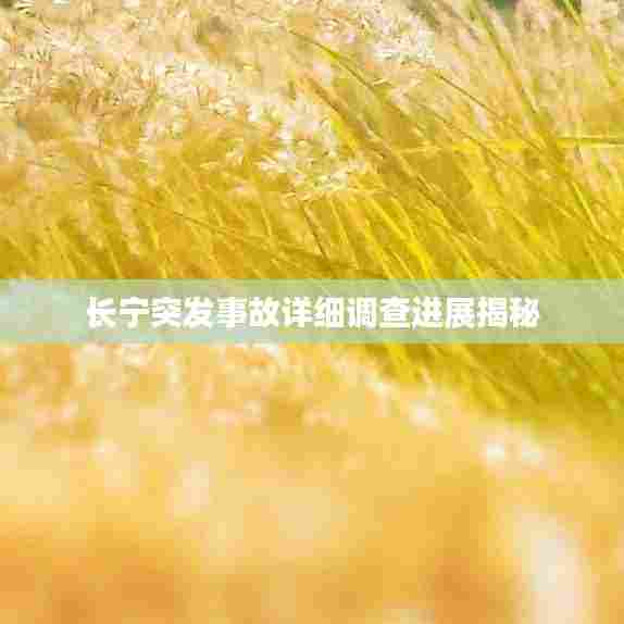长宁突发事故详细调查进展揭秘