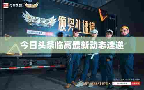 今日头条临高最新动态速递