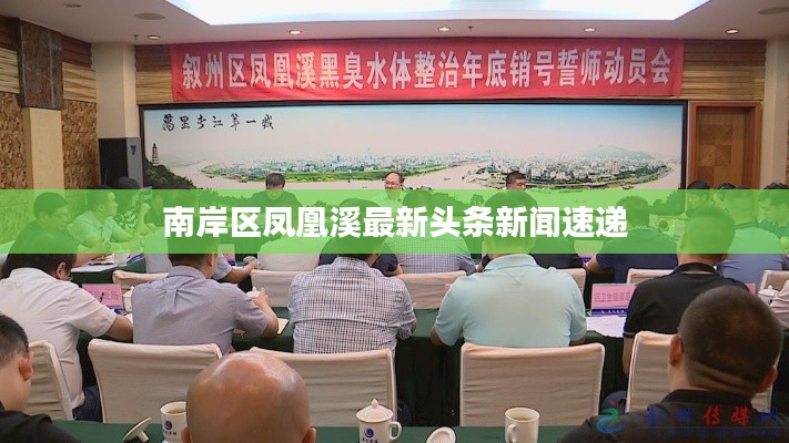 南岸区凤凰溪最新头条新闻速递