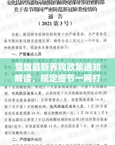 楚雄最新养狗政策通知解读，规定细节一网打尽！