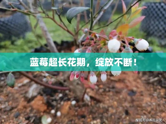 飞黄腾达 第5页