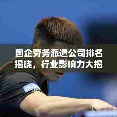 国企劳务派遣公司排名揭晓,行业影响力大揭秘!