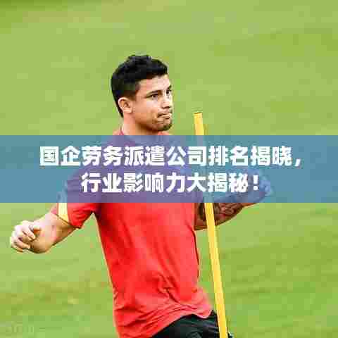 国企劳务派遣公司排名揭晓,行业影响力大揭秘!