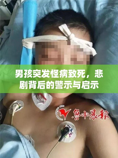 男孩突发怪病致死,悲剧背后的警示与启示