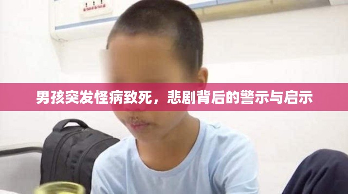 男孩突发怪病致死,悲剧背后的警示与启示