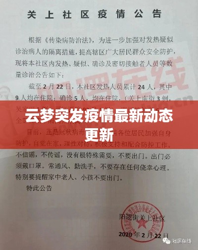 云梦突发疫情最新动态更新