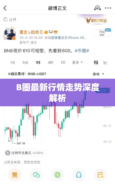 B圈最新行情走势深度解析