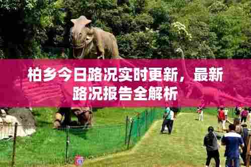柏乡今日路况实时更新，最新路况报告全解析