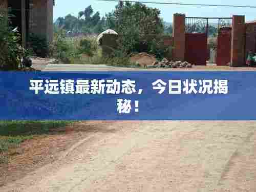 平远镇最新动态，今日状况揭秘！
