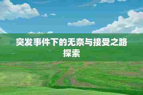 突发事件下的无奈与接受之路探索