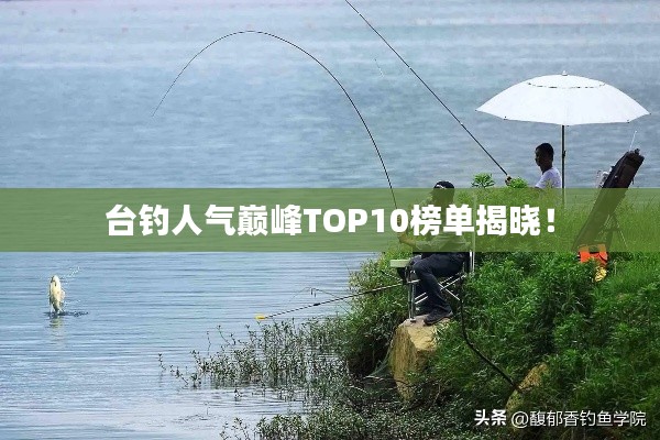 台钓人气巅峰TOP10榜单揭晓!
