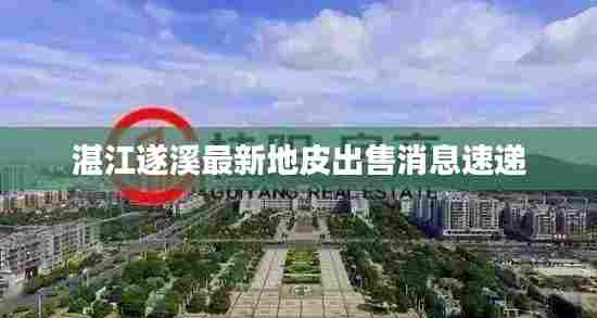 湛江遂溪最新地皮出售消息速递