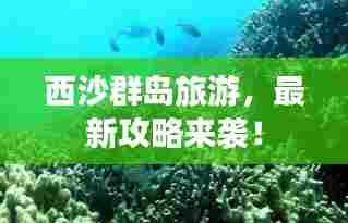 西沙群岛旅游，最新攻略来袭！