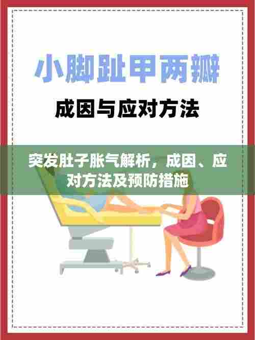突发肚子胀气解析,成因、应对方法及预防措施