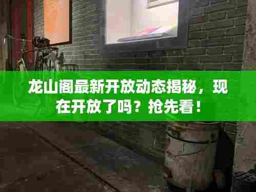 龙山阁最新开放动态揭秘,现在开放了吗?抢先看!