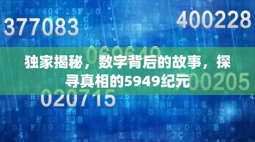 独家揭秘，数字背后的故事，探寻真相的5949纪元