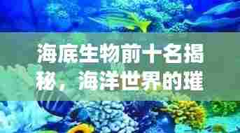海底生物前十名揭秘，海洋世界的璀璨明珠惊艳世界！