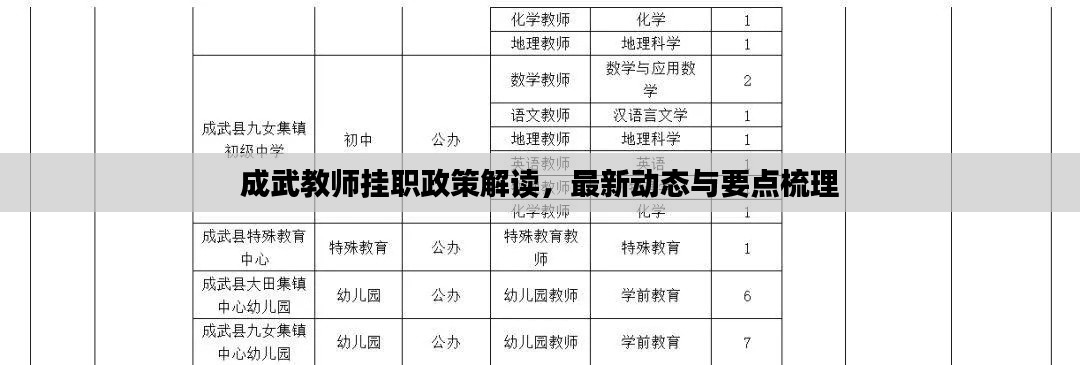 成武教师挂职政策解读,最新动态与要点梳理