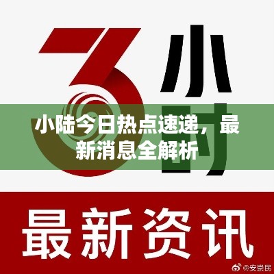 小陆今日热点速递，最新消息全解析