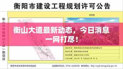 衡山大道最新动态，今日消息一网打尽！