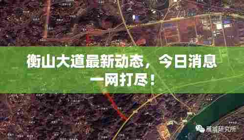 衡山大道最新动态,今日消息一网打尽!