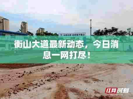 衡山大道最新动态,今日消息一网打尽!