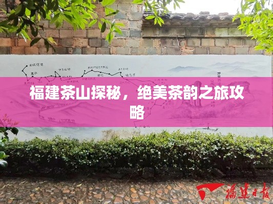 福建茶山探秘，绝美茶韵之旅攻略