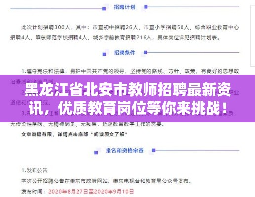 黑龙江省北安市教师招聘最新资讯，优质教育岗位等你来挑战！