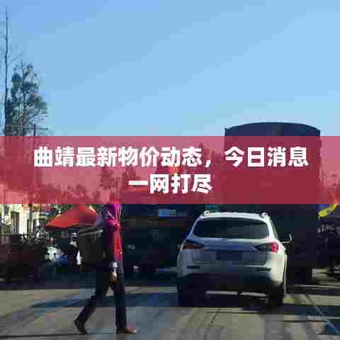 曲靖最新物价动态，今日消息一网打尽