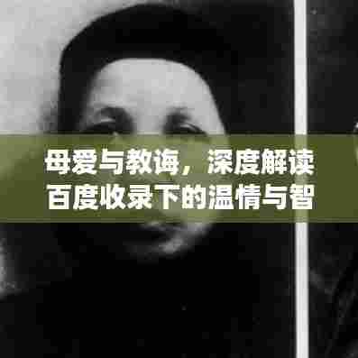 母爱与教诲,深度解读百度收录下的温情与智慧