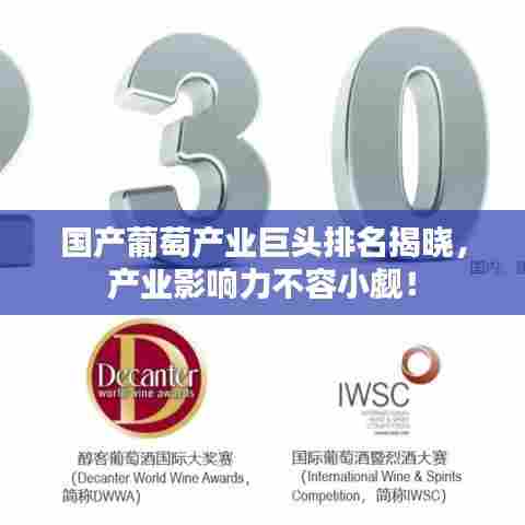 国产葡萄产业巨头排名揭晓，产业影响力不容小觑！